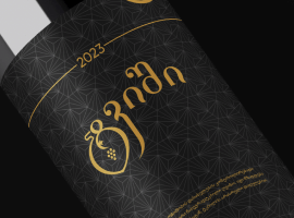 ტვიში - TVISHI